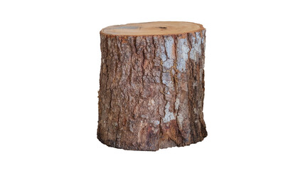Old Tree Stump Isolated on Black Background