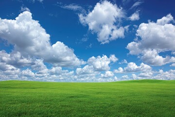 Obraz premium Vast green field under a vibrant blue sky, dotted with fluffy clouds