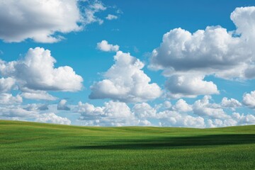 Obraz premium Sunny, rolling green field under a partly cloudy sky