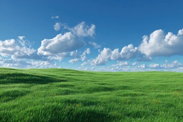 Obraz premium Vast grassy field under a clear blue sky