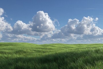 Obraz premium Wide grassy field under a partly cloudy sky (1)