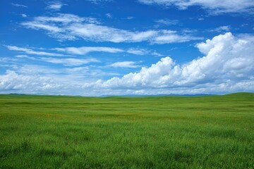 Obraz premium Vast green field under a vibrant blue sky (3)