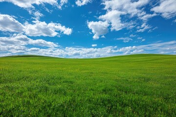 Obraz premium Vast green field under a vibrant blue sky (6)