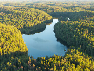 Beautiful forest lake aerial view summer evening.
