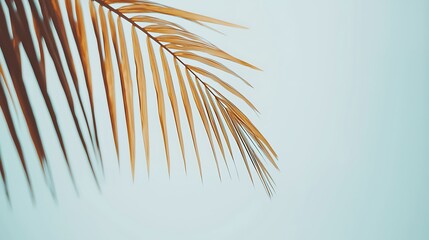 Obraz premium Vivid blue tropical sea and palm trees, shot in 4K using 35mm f2 lens, natural brightness and perfect clarity