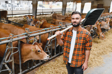 Farmer holding shovel on shoulder in cowshed with jersey cattle