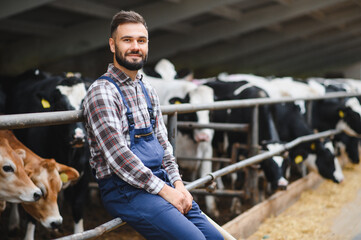 Farmer sitting and smiling in a barn with cows
