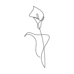 Calla lily flower vector. Linear icon. Line continuous drawing. Floral design, botanical print, card, wall art poster, logo, sign, doodle, hand drawn symbol. Abstract cartoon plant illustration