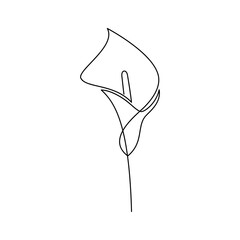 Hand drawn calla lily flower vector. Linear icon. Line continuous drawing. Floral design, botanical print, card, wall art poster, logo, sign, doodle, symbol. Abstract cartoon plant illustration