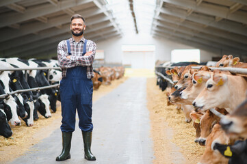 Farmer smiling with arms crossed in dairy farm with cows