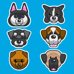 Variety of flat dogs