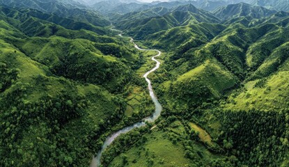 Lush valley with winding river