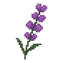 Fototapeta premium Pixel Art Lavender Flower With Green Leaves and Simple Design