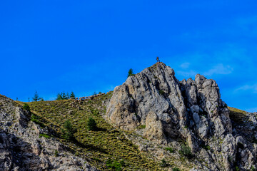 Le berger des millefonts