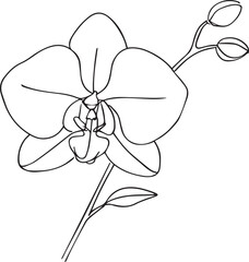 Elegant orchid monoline drawing line art flower minimal botanical vector design.eps