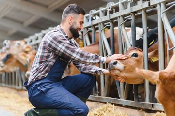 Farmer gently caressing cow in modern barn, promoting sustainable agriculture