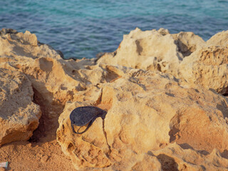 Dirty black sleeping mask covered in dust and sand lays lost and forgotten on a big porous rock on the shore of the cyan Mediterranean sea in Cyprus.