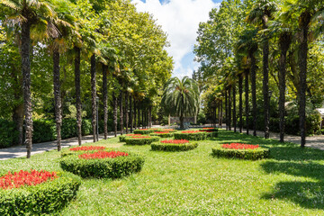 Obraz premium Palm trees Canary Island date palms (Phoenix canariensis) grow in Riviera Park in Sochi. Tall palm trees lining a wide, green lawn. Neatly trimmed bushes and vibrant red flowerbeds add color.