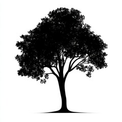 Fototapeta premium Woodland autumn tree silhouette illustration black.