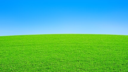 Green meadow under vibrant blue sky captured in sharp 4K using a 35mm f1.8 lens, natural soft tones and clear horizon