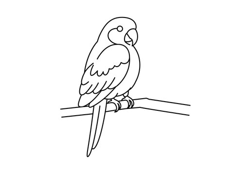 Charming line art parrot perched elegantly on a branch, perfect for whimsical designs