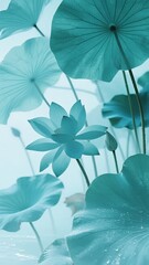 Elegant Blue Lotus Flowers with Large Leaves in a Serene Pond