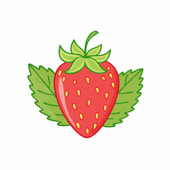 fresh strawberry fruits with leaves isolated white background ,vector svg