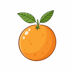 vector illustration of an orange