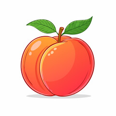 organic peach isolated white,illustration vector