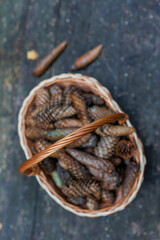 Fir cones in a wicker basket out of focus in a summer park against the background of a wooden table.
