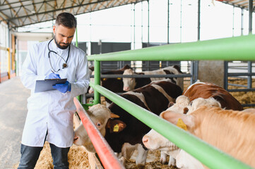 Veterinarian taking notes while examining cows in a barn