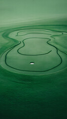 Monochrome emerald putting green with fine contour and break lines leading to a central cup; ethereal glow, blurred velvety turf backdrop.