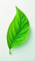 Obraz premium Close-up shot of a vibrant green leaf on a pristine white background, symbolizing healing, growth, and renewal Perfect for wellness, nature, and health-related projects , fresh, healing
