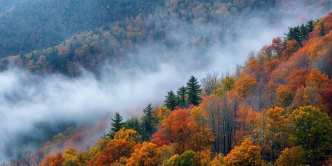 Fototapeta premium A high-angle view of a misty mountain valley in autumn, showcasing vibrant fall foliage and soft, ethereal clouds.