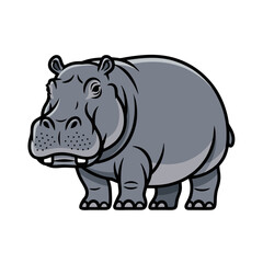 hippopotamus isolated on white background
