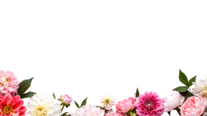 A floral border arrangement of various blossoms, including dahlias, roses, and peonies, against a plain white background.