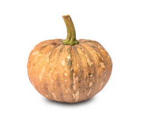 Small orange PUMPKIN or SQUASH 'Thai Rai Kaw Tok' isolated on transparent background or png file.