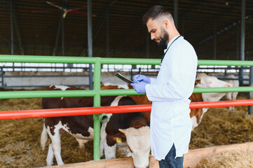 Veterinarian taking notes while examining cows in barn