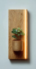 Wooden wall art with a potted plant and illuminated accent