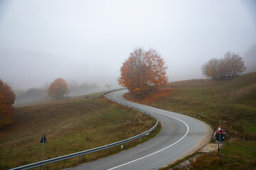 Colorful landscape with road through the woods in fall. Travel.