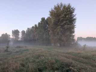 Early autumn morning with fog on the field and on the river