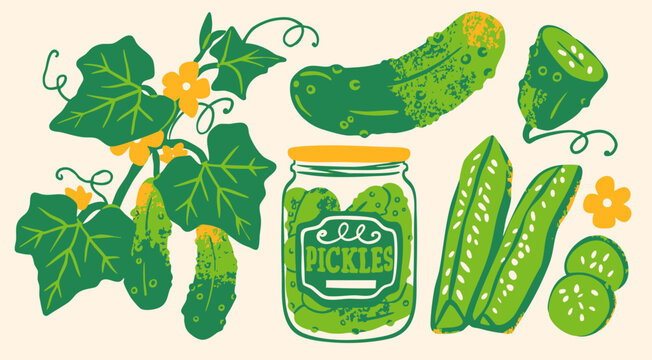 Tasty green cucumbers. Fresh, whole, sliced, pickled cucumbers. Pickles in a jar. Fresh and fermented, marinated  healthy vegetables. Hand drawn trendy Vector illustration. Isolated design elements