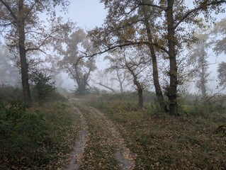 Early autumn morning with fog on the field and on the river