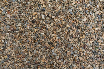 Background of wet small pebbles or stones on the beach or in the park