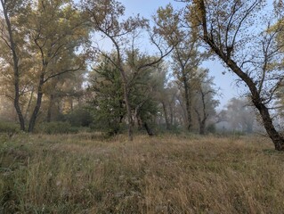 Early autumn morning with fog on the field and on the river