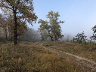 Early autumn morning with fog on the field and on the river