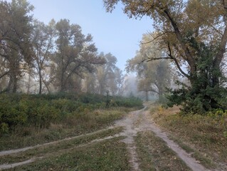 Early autumn morning with fog on the field and on the river