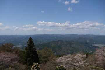 Naklejka premium 日本、京都,、比叡山、花、山、絶景、景色、春の絶景、ポット、神社、寺院、木造建築旅行、風景、旅、森,、自然、空,、春、木、写真素材 