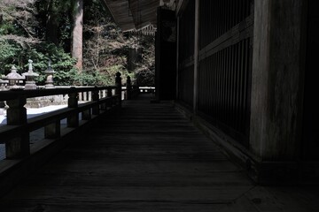 日本、京都,、比叡山、花、山、絶景、景色、春の絶景、ポット、神社、寺院、木造建築旅行、風景、旅、森,、自然、空,、春、木、写真素材	
