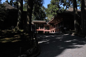 日本、京都,、比叡山、花、山、絶景、景色、春の絶景、ポット、神社、寺院、木造建築旅行、風景、旅、森,、自然、空,、春、木、写真素材	
